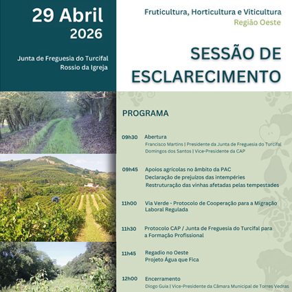 Sessão de Esclarecimento